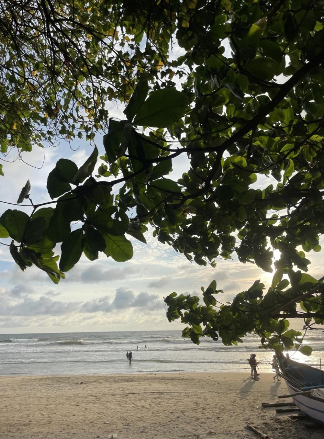 12 Monks - Beachside Hostel Arambol Esterno foto