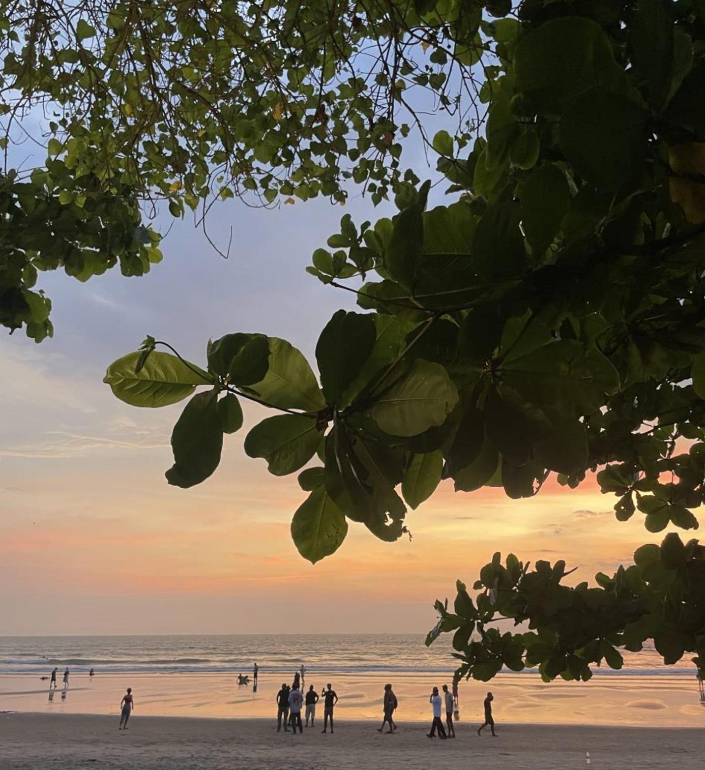 12 Monks - Beachside Hostel Arambol Esterno foto