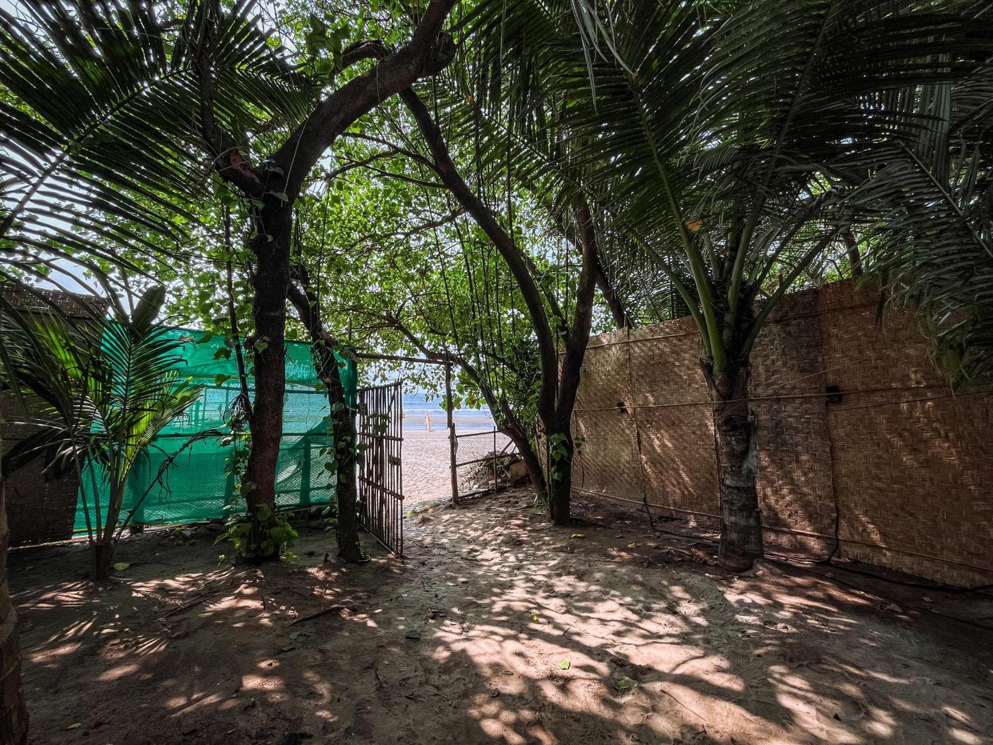 12 Monks - Beachside Hostel Arambol Esterno foto